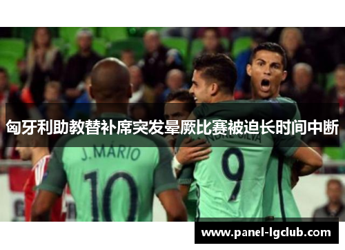 匈牙利助教替补席突发晕厥比赛被迫长时间中断 匈牙利助教替补席突发晕厥比赛被迫长时间中断
